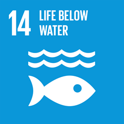SDG 14: Life Below Water