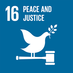 SDG 16: Peace, Justice & Strong Institutions